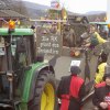 Rosenmontag (53)